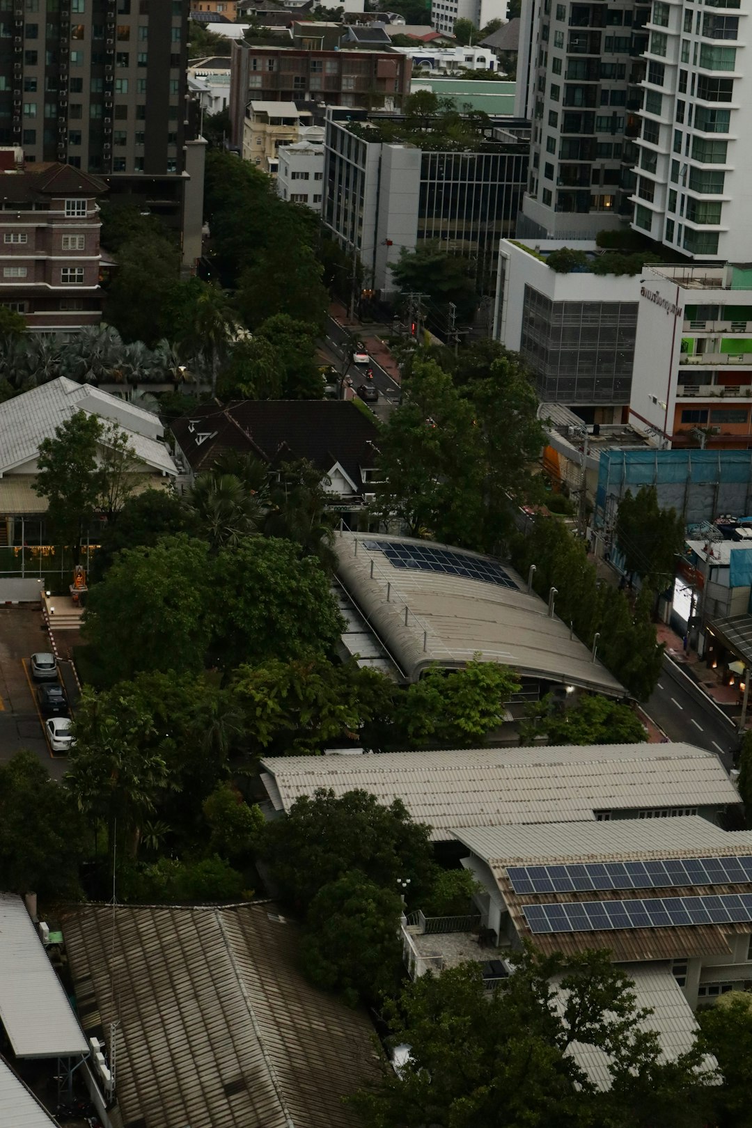 services-04 dense-urban-greenery-interspersed-with-modern-buildings-zzkwybrbcyq